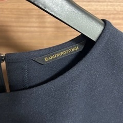 BARNYARDSTORM の画像