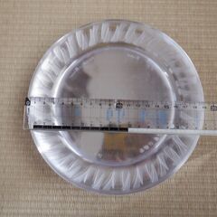 パーティ小皿_11枚（未使用品）