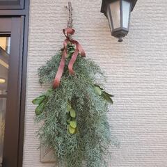 【お取引決定】🌲ブルーアイス🌲　枝