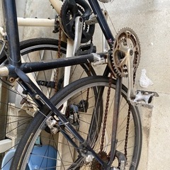 【取引中】ラレー クラブスポーツ&specialized vitaの画像