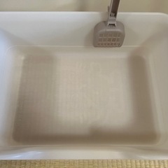 猫トイレ 猫 トイレの画像
