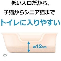 猫トイレ 猫 トイレの画像