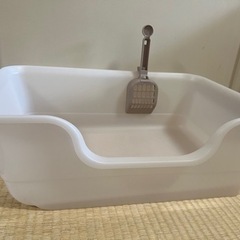 猫トイレ 猫 トイレの画像