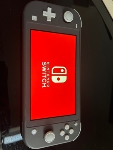 その他 Nintendo SwitchLight