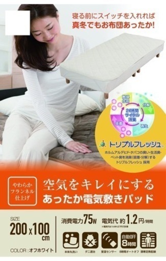 YAMAZEN 山善　電気敷毛布 YWP-200F(OW)
