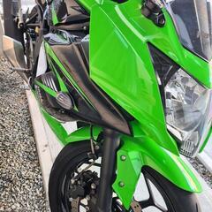 カワサキ Ninja250SLの画像