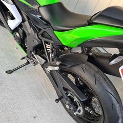 カワサキ Ninja250SLの画像