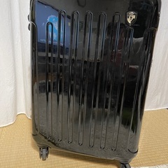 キャリーバック　Mサイズ