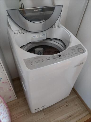 シャープ　洗濯機　8kg 2019年製　ES-GV8C