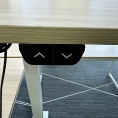 Flexispot 昇降デスク