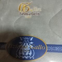 ティツィアナ・ガロ ふわふわあったか敷パット の画像