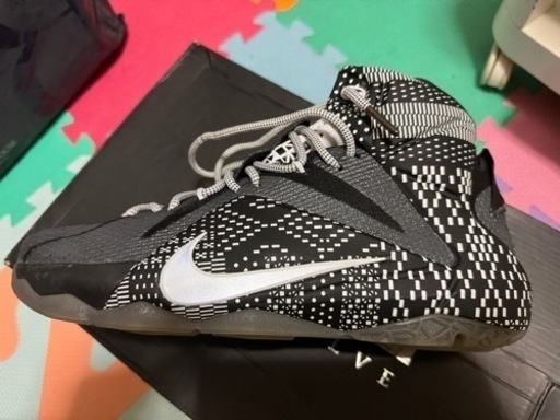 靴/バッグ LEBRON XII BHM