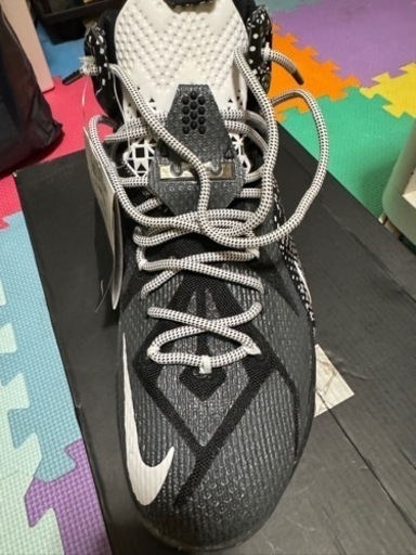 靴/バッグ LEBRON XII BHM