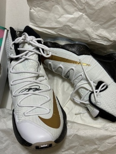 LEBRON XIII ELITE