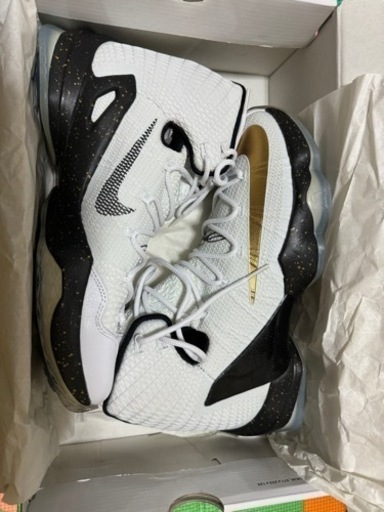 LEBRON XIII ELITE