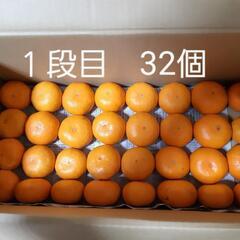 周防大島産　ミカン　５kg