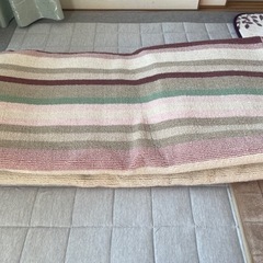 ニトリ折りたたみカーペット　 200＊200cm 