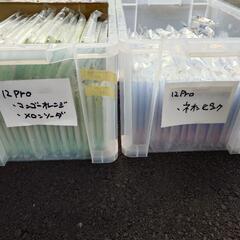 値下げ！iPhone12/12Proケース 11種550個以上セット　スマホケース キラキラ 流れる砂　仕入れ　フリマ　転売の画像