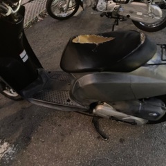 原付　ホンダ　トゥディ　の画像