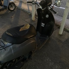 原付　ホンダ　トゥディ　の画像