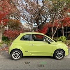 フィアット500 限定車　ワカモレの画像