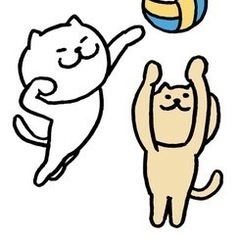 青森市で1から設立　バレーサークル - スポーツ