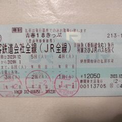 青春18切符　２回分