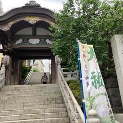【1/8祝 10:30】【明日】運気上昇！🐲神社(御朱印)めぐり🐉 - その他