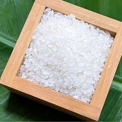 お買得！安曇野産コシヒカリ10kg2800円