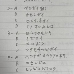お年玉貝殻コレクションno1の画像