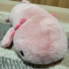 クジラとウーパールーパーのぬいぐるみセット