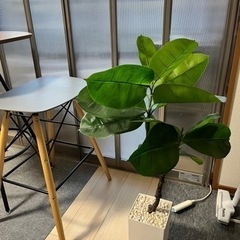 造花　植物　置物