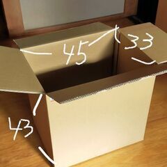 大きなサイズのダンボール