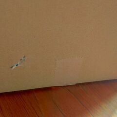 大きなサイズのダンボールの画像