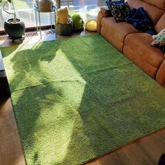 【決まりました】【本日中無料引取限定】ニトリ カーペット 