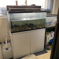 楽天市場】水槽台 90cm スリムの通販