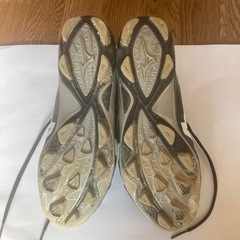 スパイクの画像