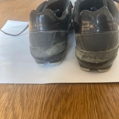 スパイクの画像