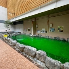 🐉開運　辰湯🐉