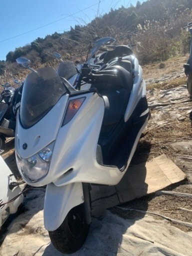 ヤマハマジェスティ250 C 実動車！