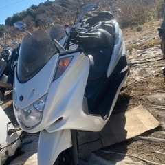 ヤマハマジェスティ250 C 実動車！