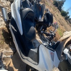 ヤマハマジェスティ250 C 実動車！の画像