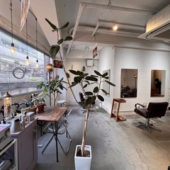 【無料】観葉植物【譲ります】