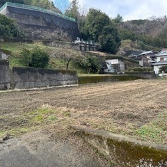 畑　はたけ　田　田んぼ　農耕地の画像