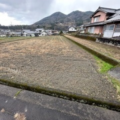 畑　はたけ　田　田んぼ　農耕地の画像