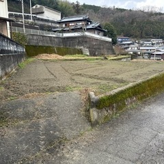 畑　はたけ　田　田んぼ　農耕地の画像