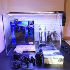 【決まりました】60cmワイド水槽セット