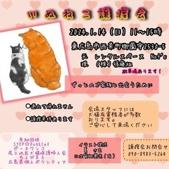犬猫譲渡会