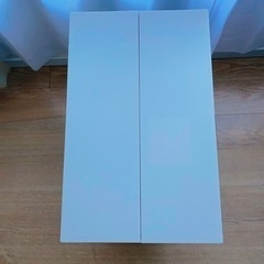 リス 棚下で使えるペダルダストボックス 45L グレー 1個 幅270×奥行425×高さ480mm 日本製 ペダル式ゴミ箱 ペダルペール ２枚フタ仕様の画像