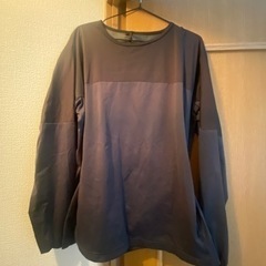 ピステ